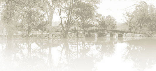 "Reflections in meadow flood, above Lowell St. bridge, June 2, 1910" (Courtesy Concord Free Public Library)